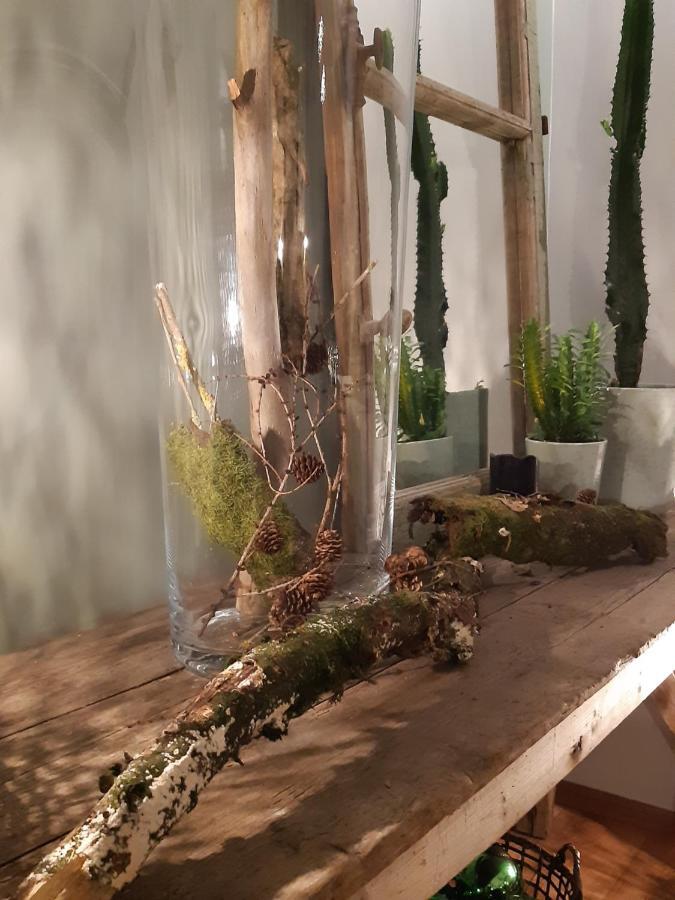 Chambres D'Hotes Herbes Folles Steenwerck Bagian luar foto